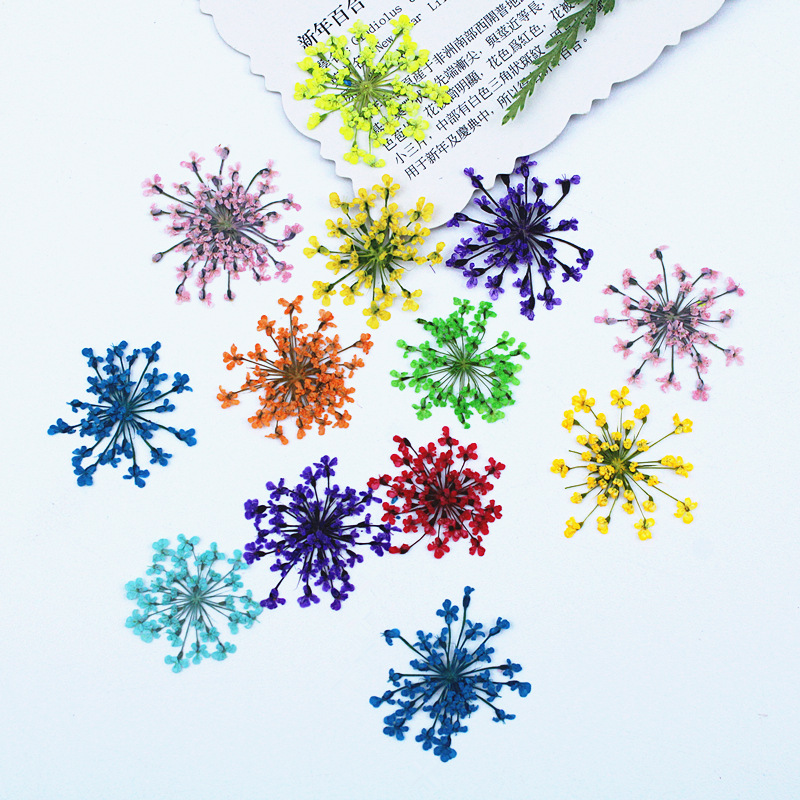 500pcs Lace Flowers Dried Flow - Resin Art Baby 评论和价格